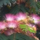 手机用户5882_5n6a