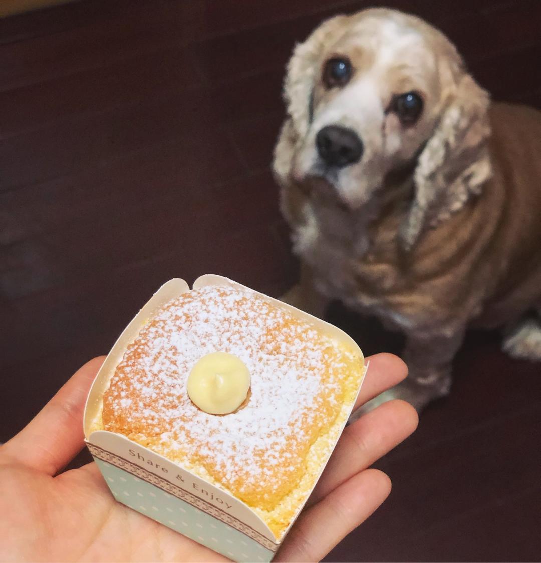 圣诞版-北海道戚风