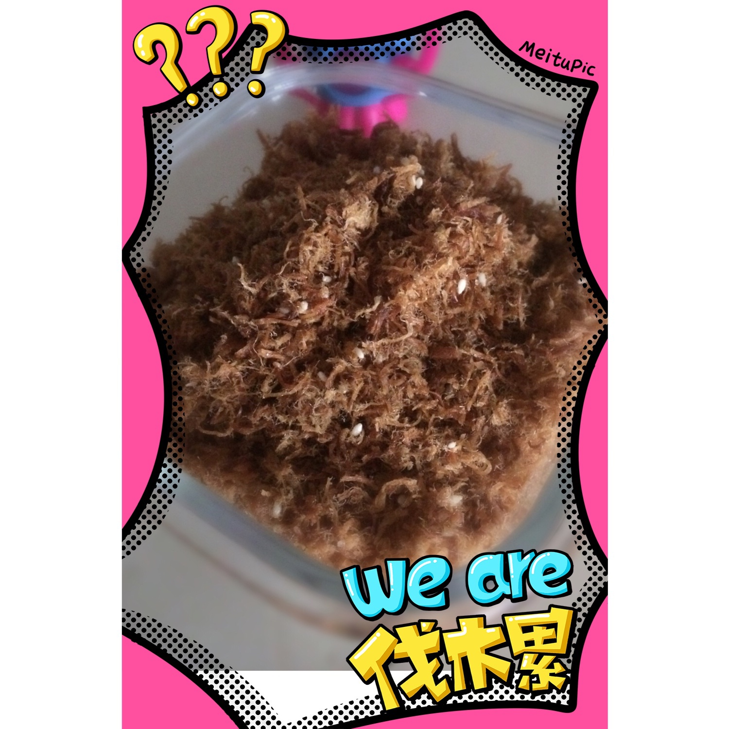 【自制肉松】（面包机版）