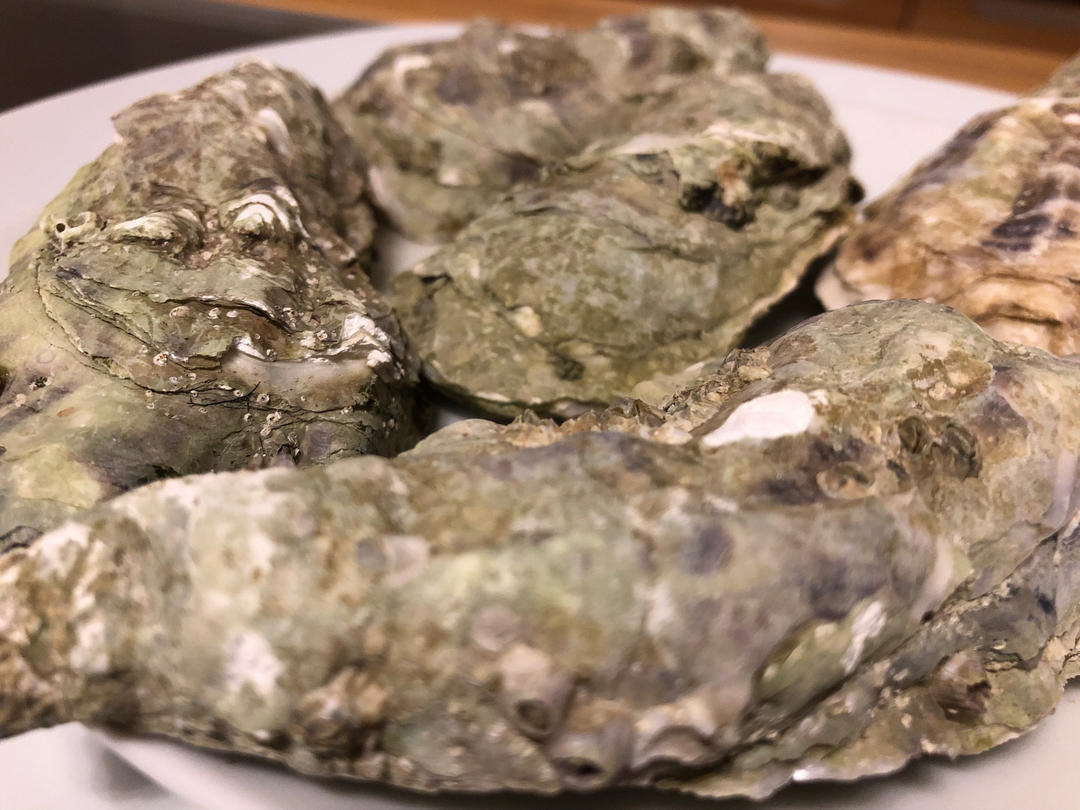 清蒸生蚝（附酱料做法）