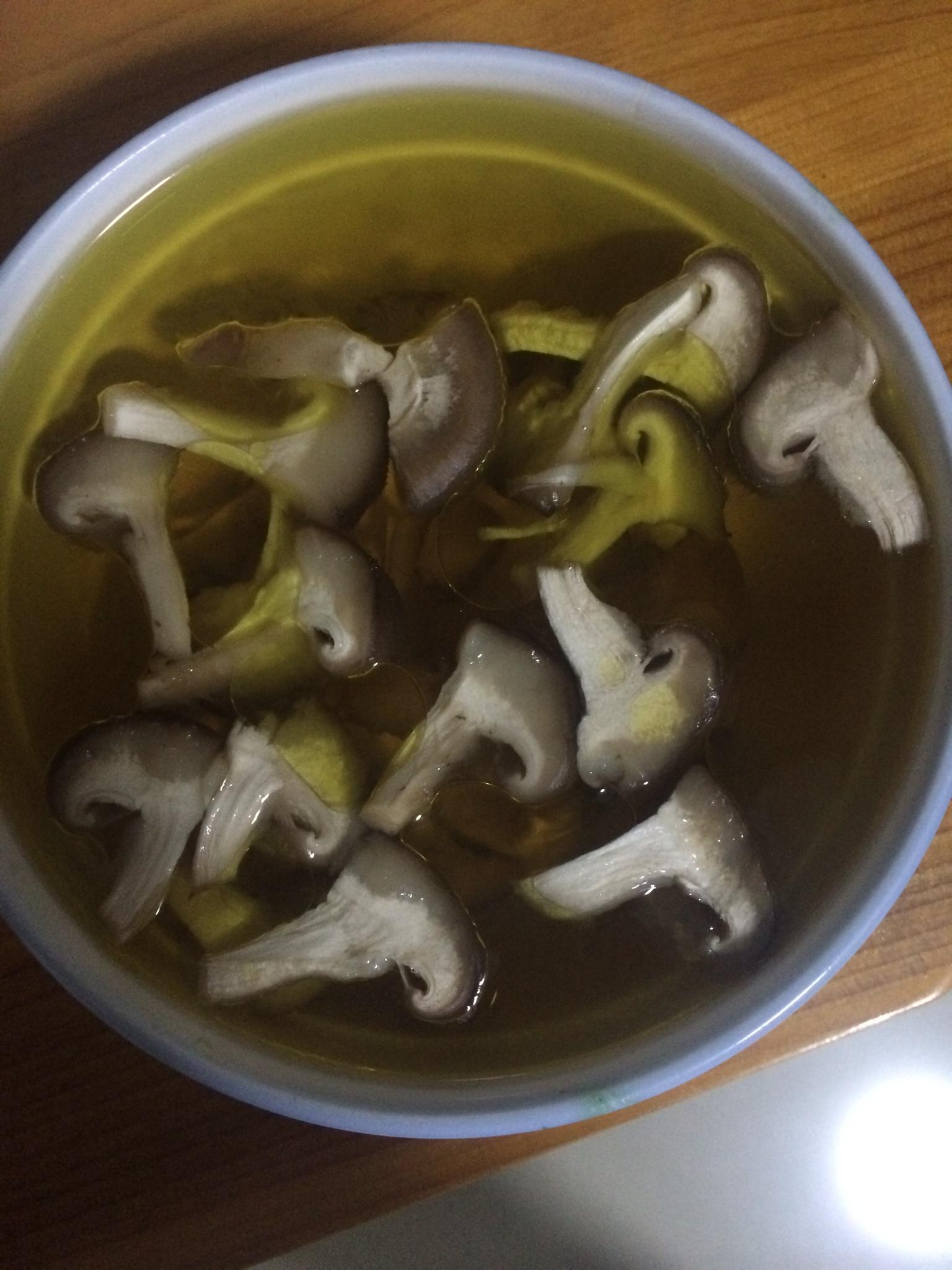 茶油炖香菇