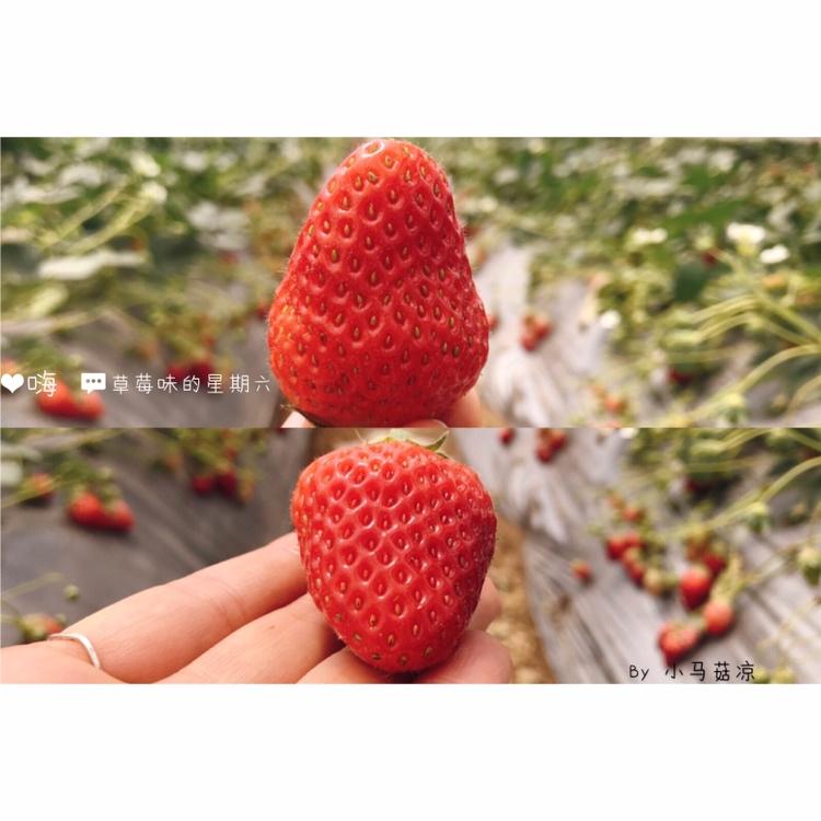 唯有爱和美食不可辜负