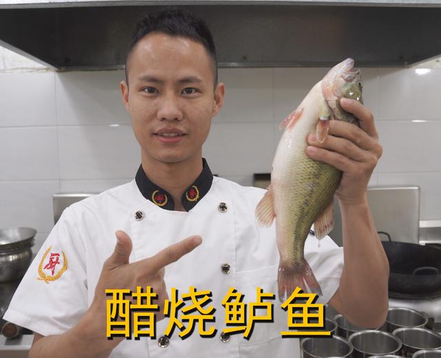 厨师长教你:“醋烧鲈鱼”的家常做法,口感鲜嫩味道很赞,收藏了的做法