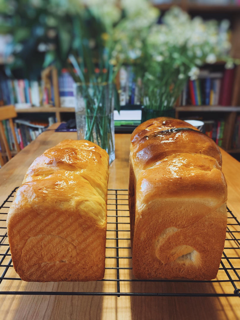 没做后悔，做了更后悔！后悔为啥没有早点儿做---绵绵绵吐司