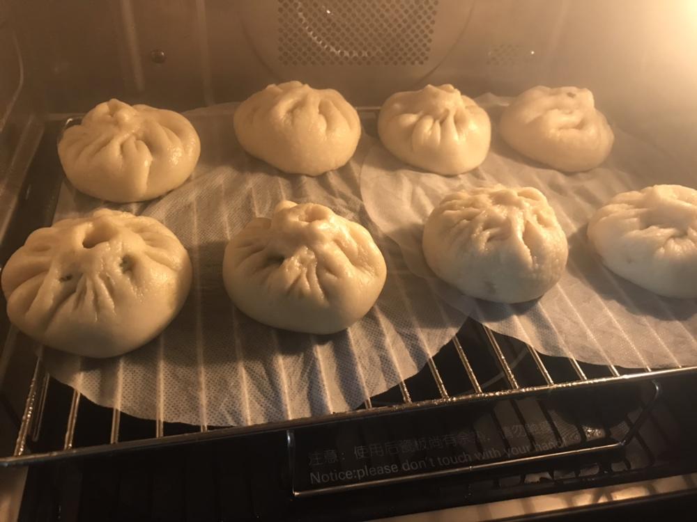 堂妈揭秘蒸包子的诀窍