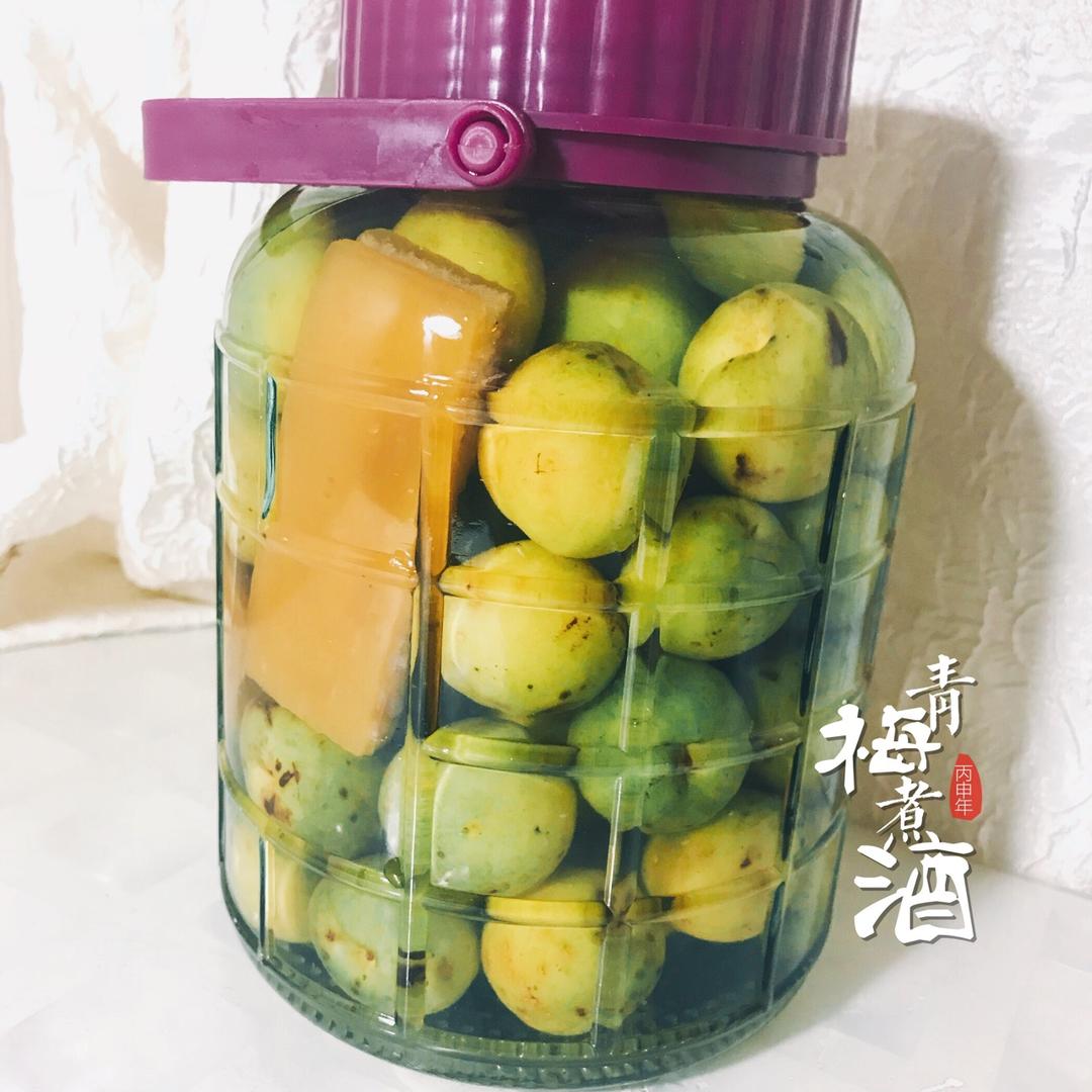 【青梅酒】梅子的沉醉时光（已填坑）