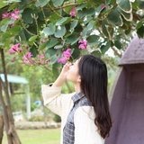 卿凉