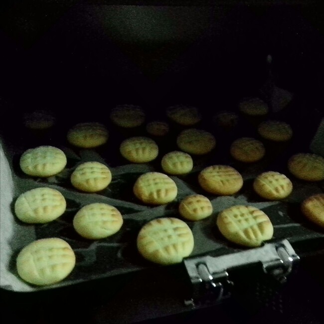 牛奶饼干