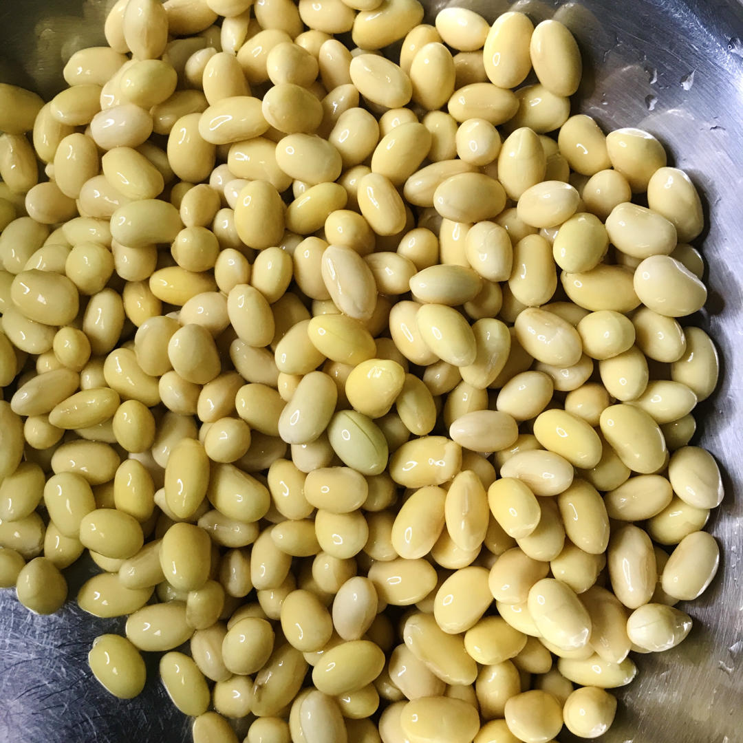 自制豆腐、豆腐脑（超详细）