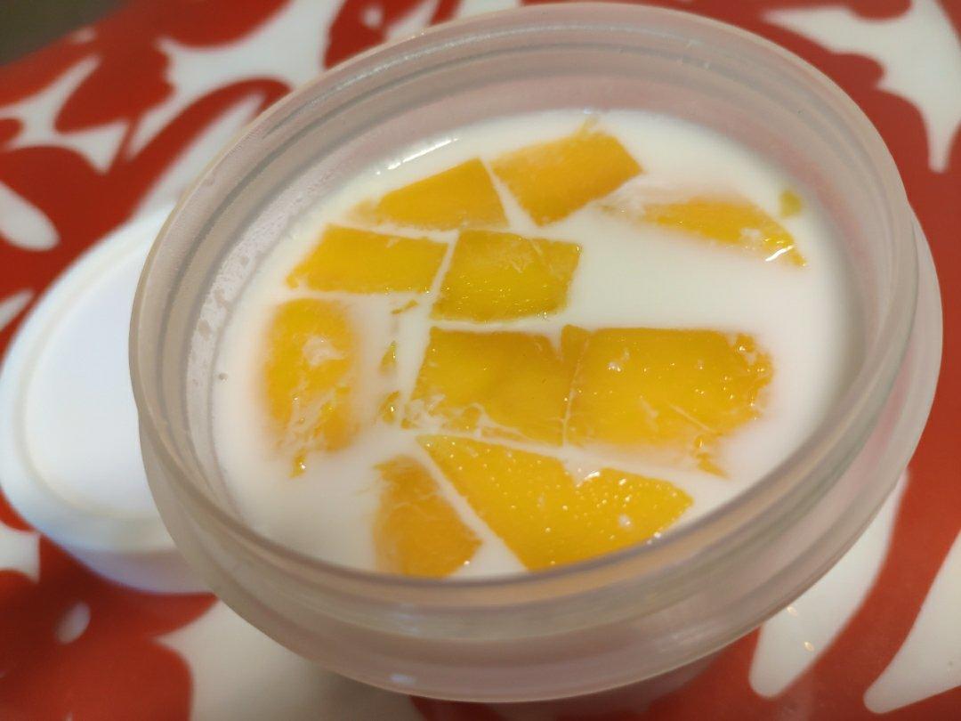 完美牛奶布丁（吉利丁片版）