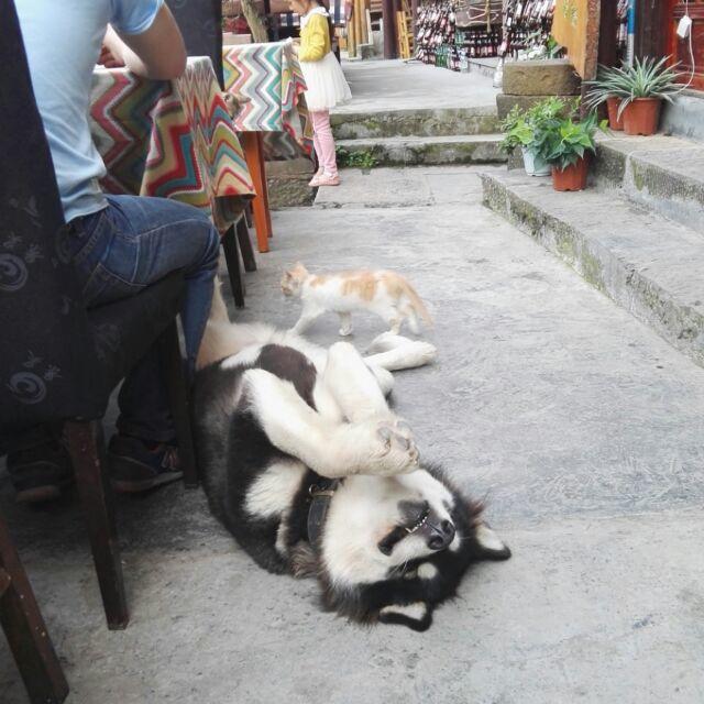 董一笑