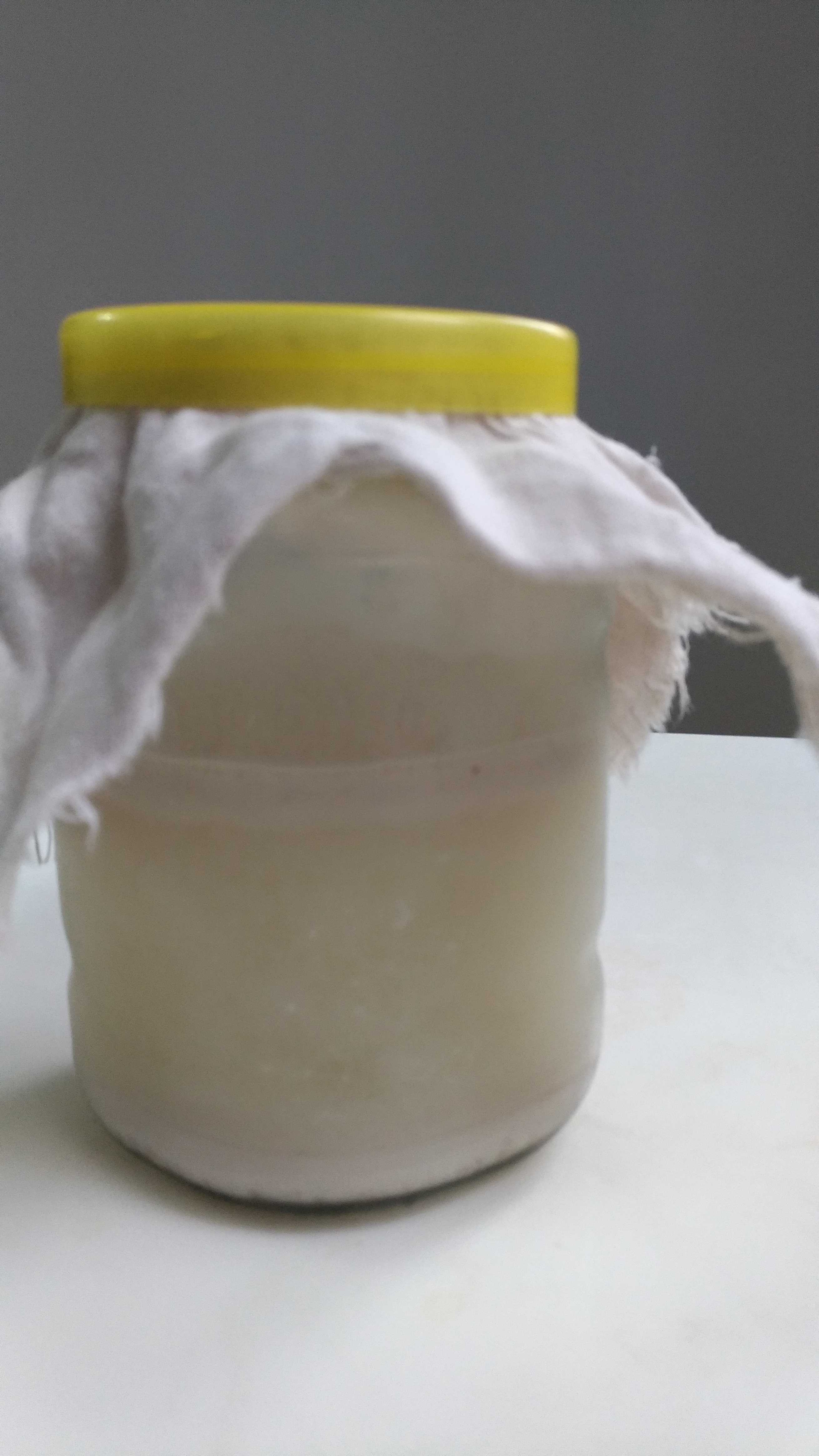 [纯素]水开菲尔鲜核桃植物酸奶的做法 步骤11