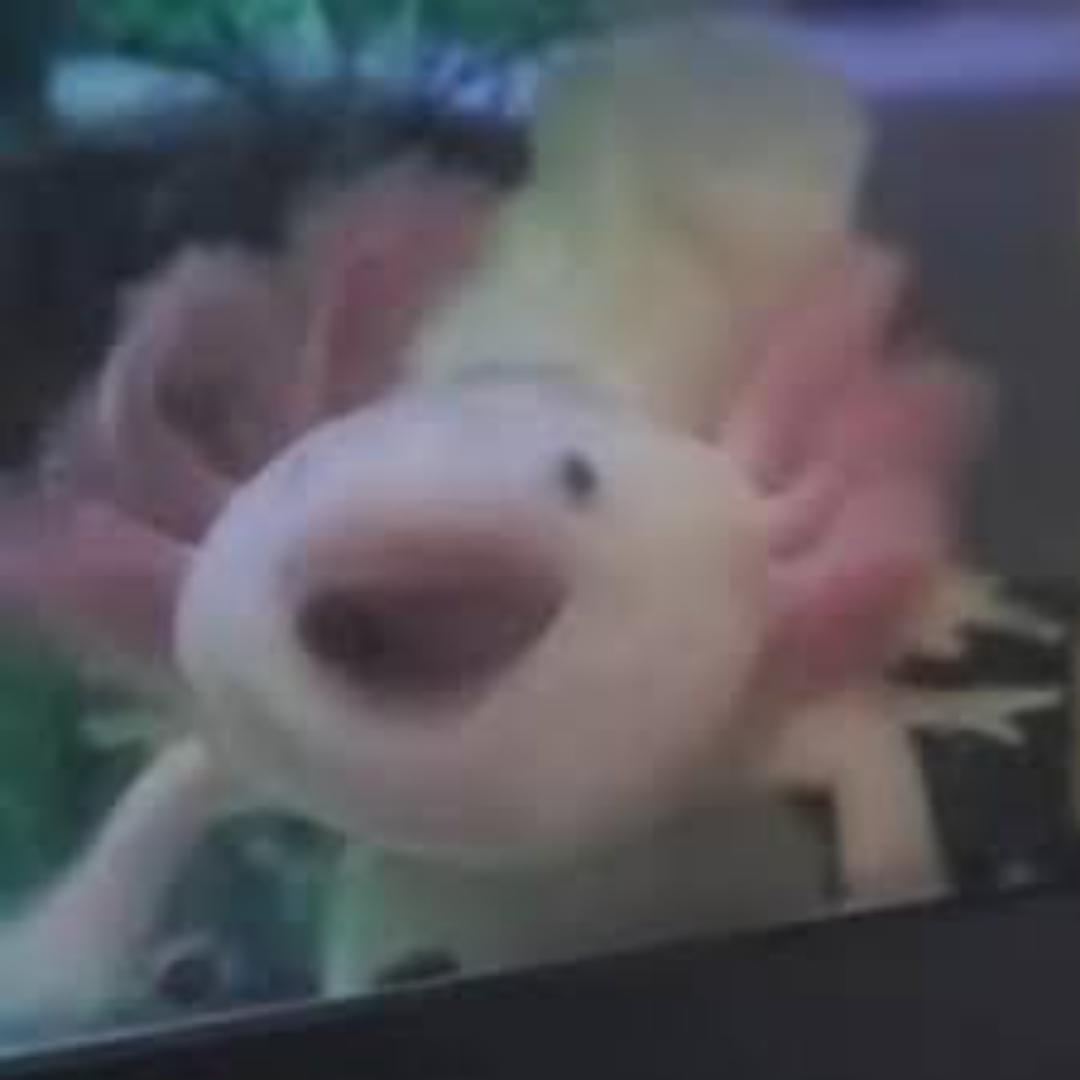 VXVXV