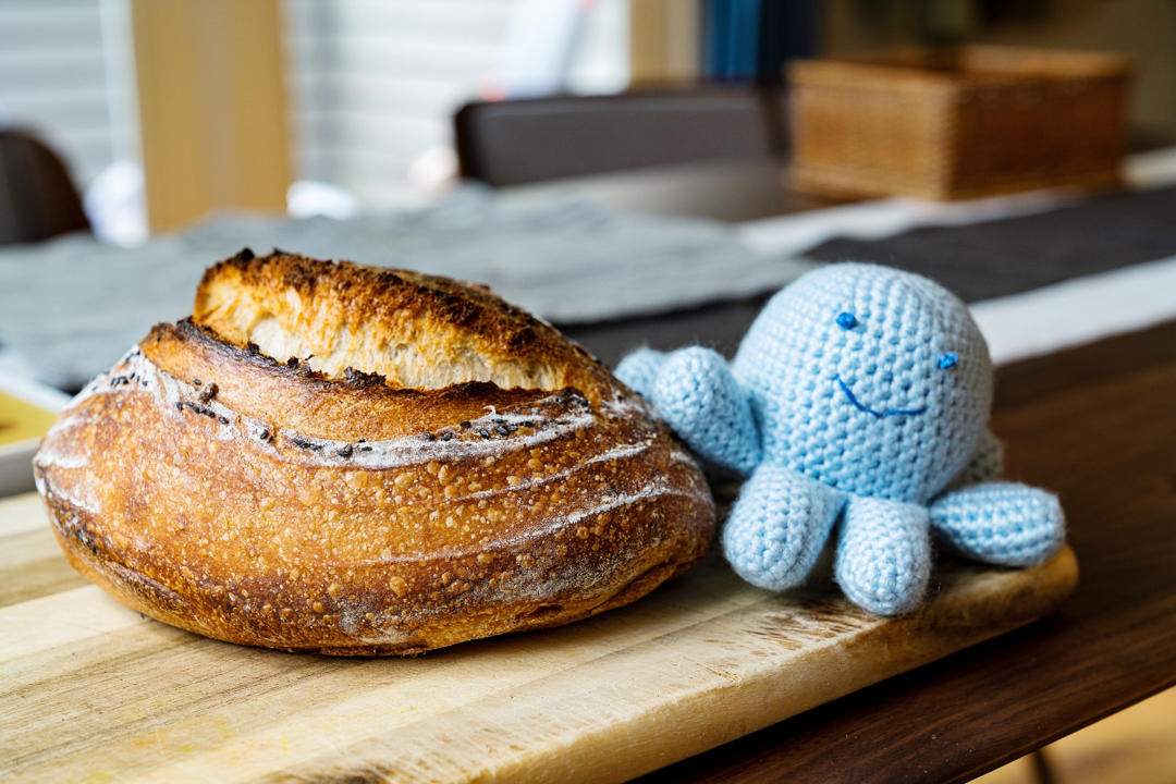 黑芝麻天然酵种欧包笔记