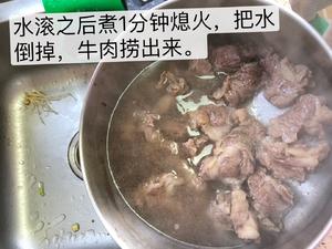 清汤萝卜牛腩的做法 步骤3