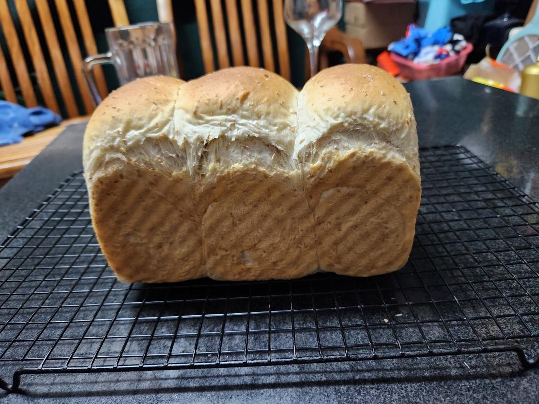 波兰种(Poolish种）全麦吐司