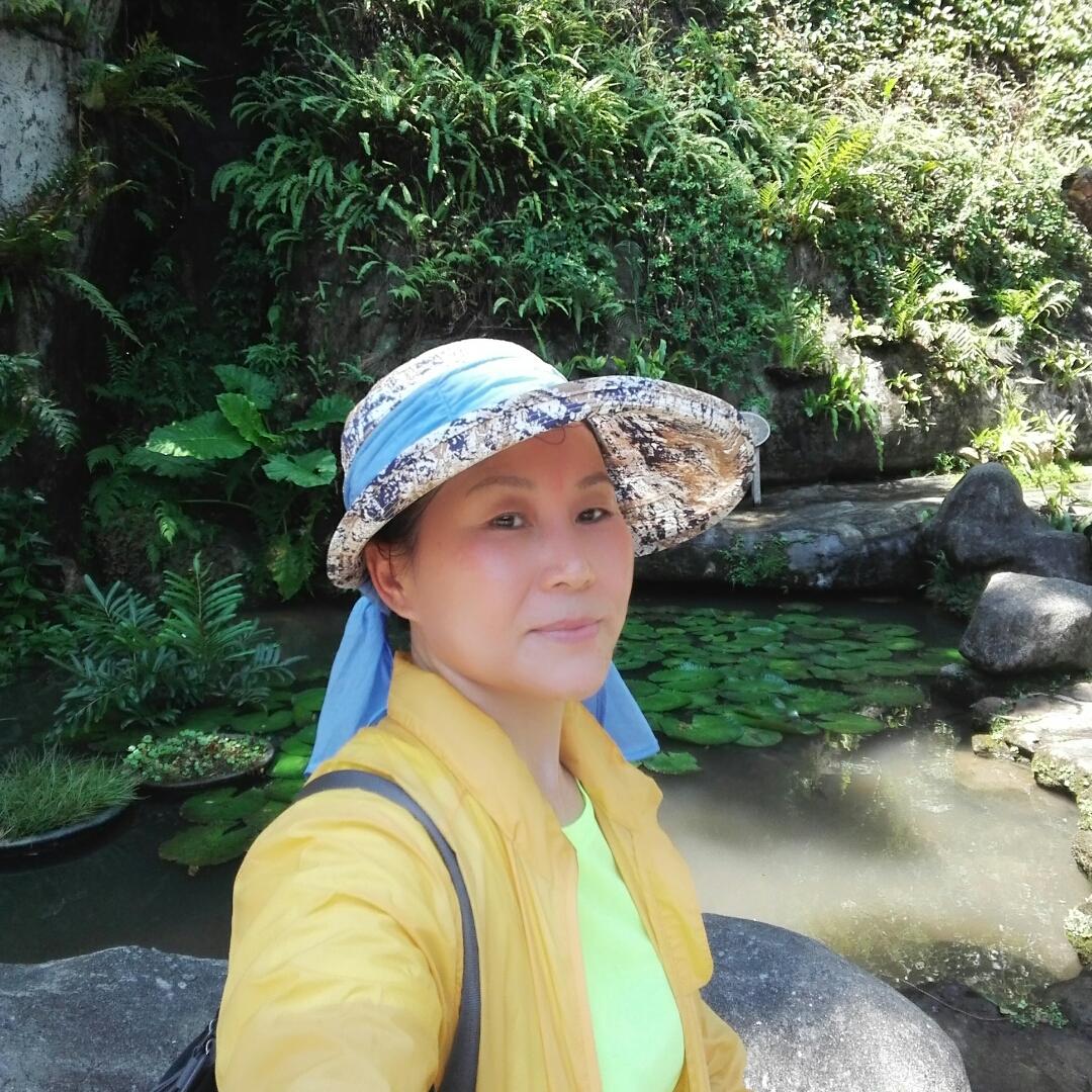 母菊