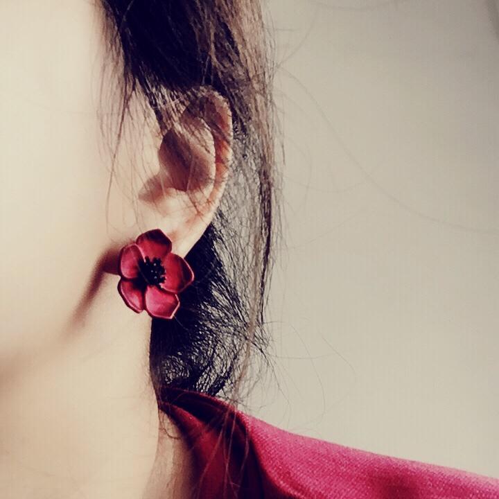 张小兜Y
