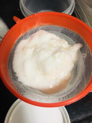 菌种喂养酸奶的做法 步骤5