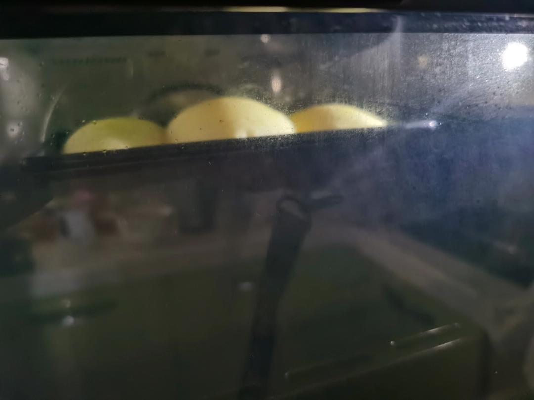 【北海道吐司】体验经典-妃娟100%中种，冷藏冰种的美味