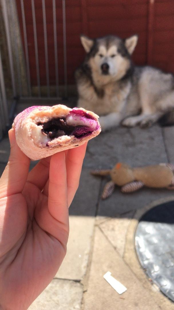 无需厨师机的手揉麻薯芋泥奶酪软欧包