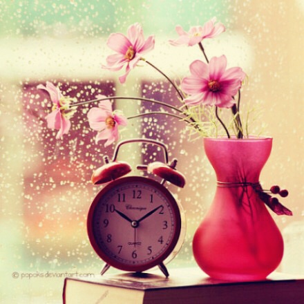 一朵私奔的桃花花