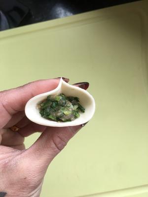 「扇形饺子🥟」换个花样包饺子！的做法 步骤5