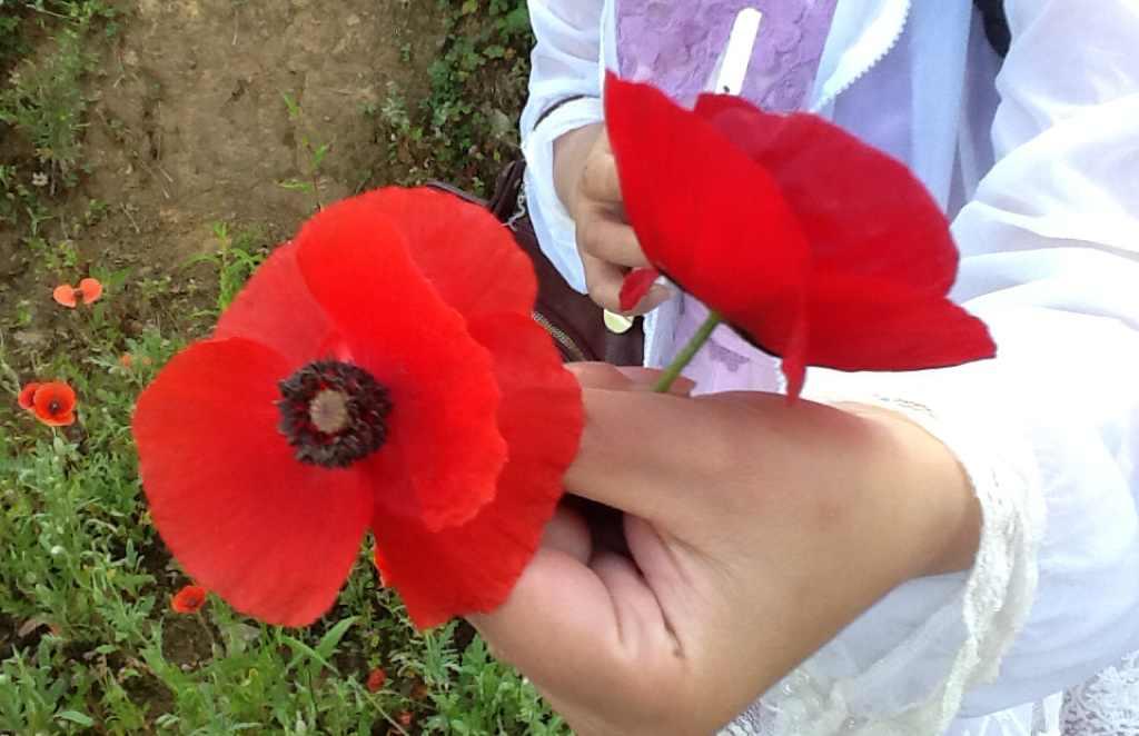 手机用户7764_sjrx