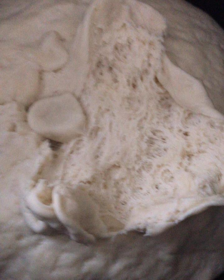 美味肉包子(超详细)