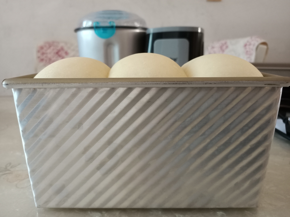 波兰种吐司面包🍞一次发酵的做法 步骤10