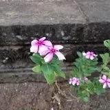 不知道吃啥好呢