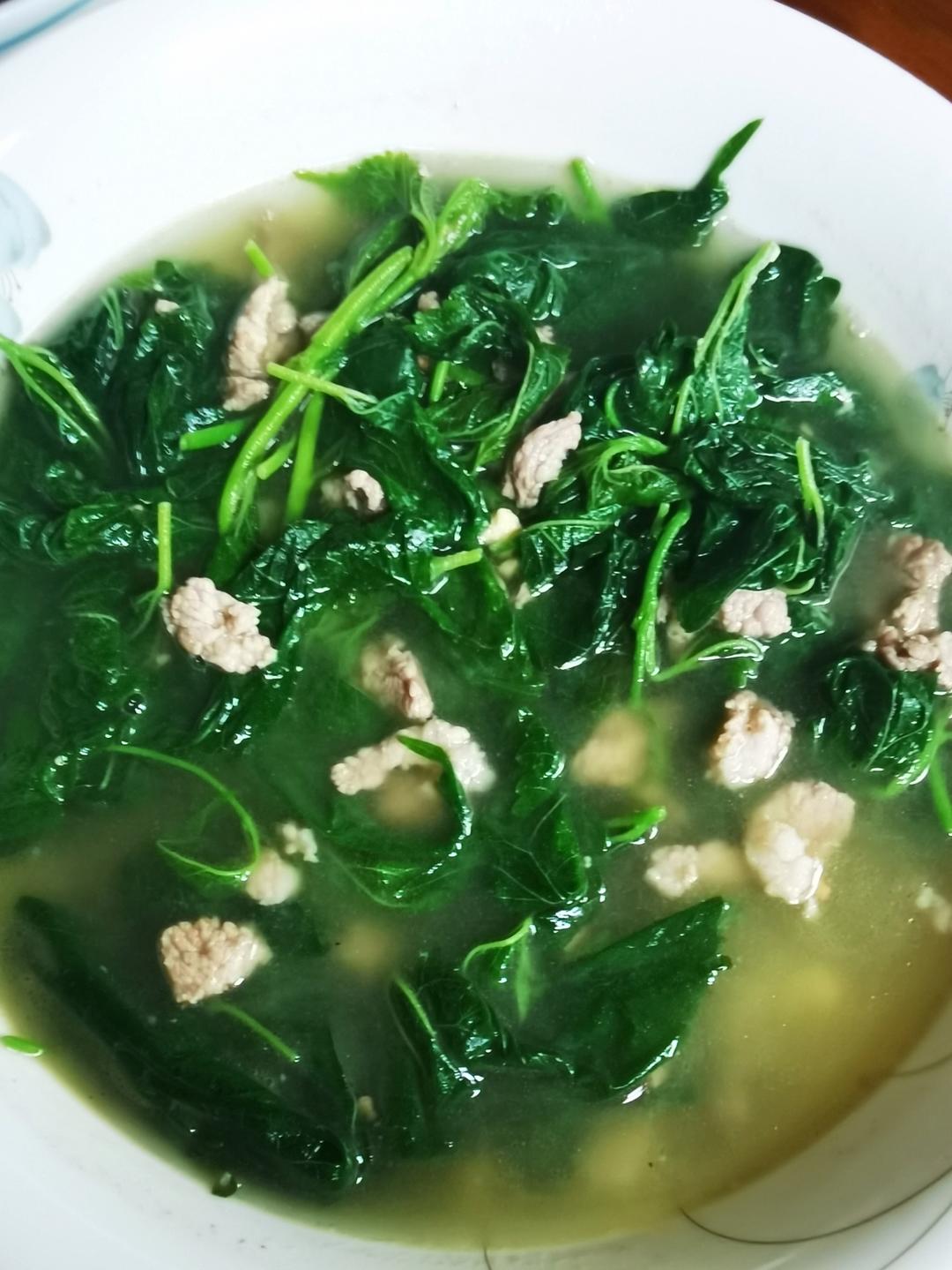 上汤瘦肉桑叶