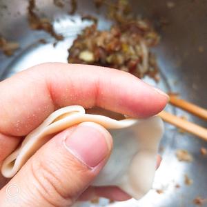 鲜肉白菜扇贝丁水饺（附饺子包法）的做法 步骤8