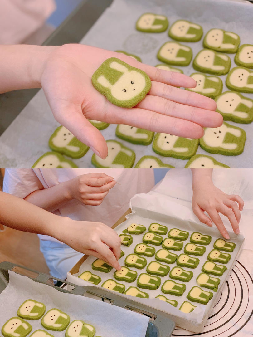 抹茶兔兔曲奇（比熊猫简单！超详细实物图+超良心手绘图）