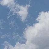 wxn268