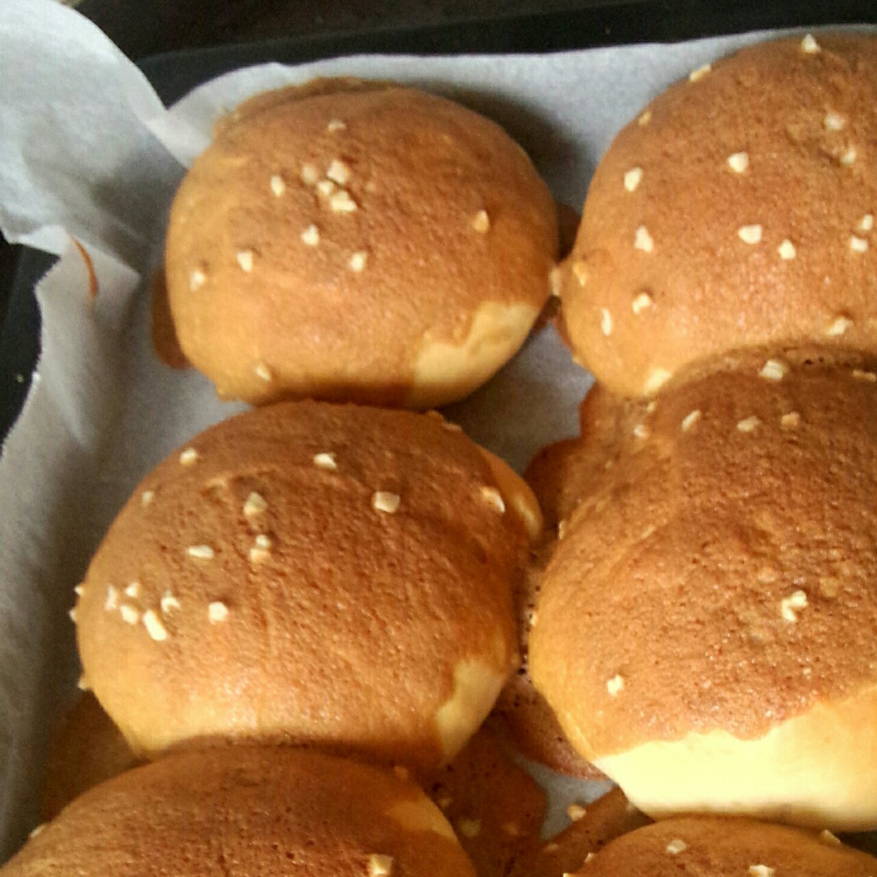 帕帕罗蒂墨西哥咖啡面包