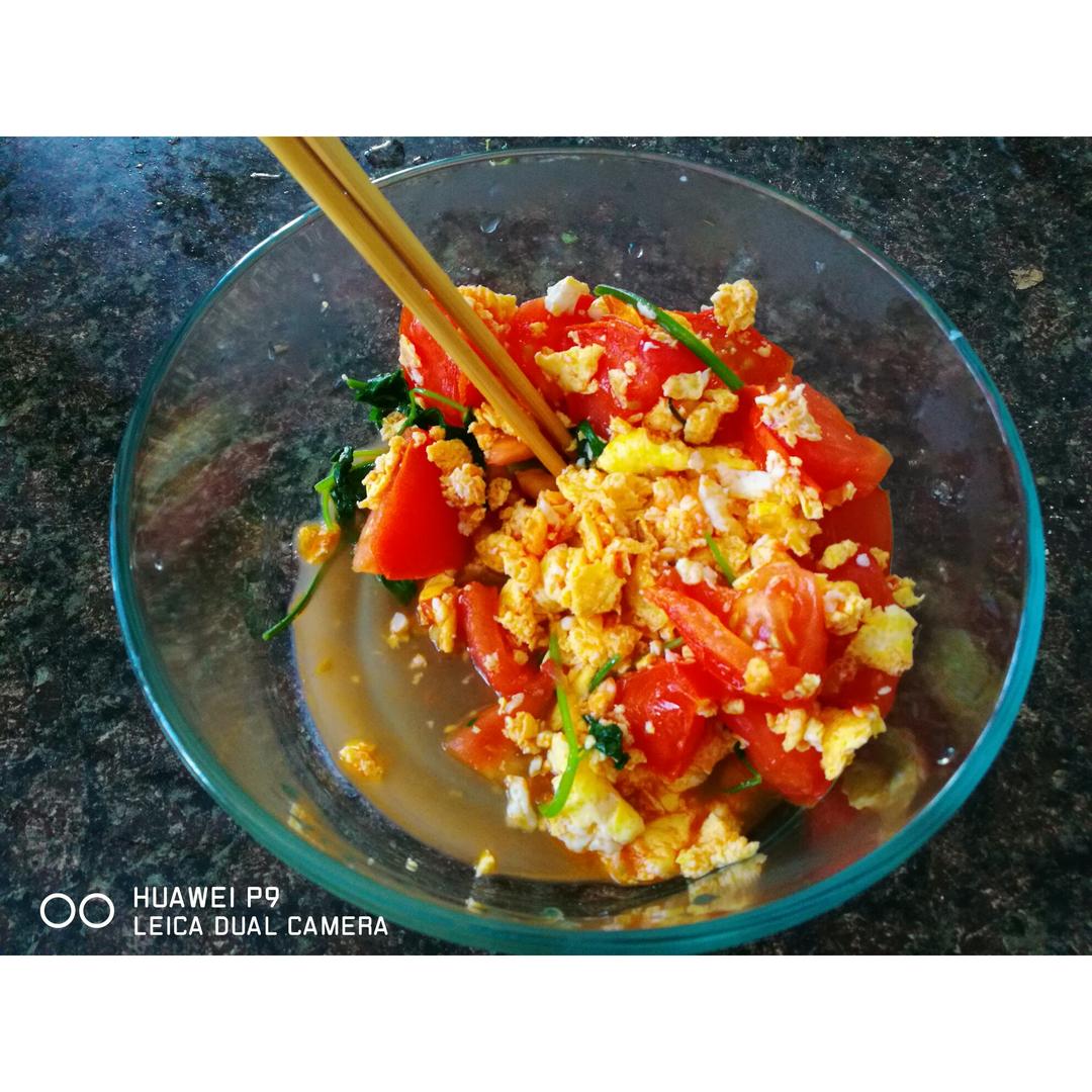 番茄炒蛋