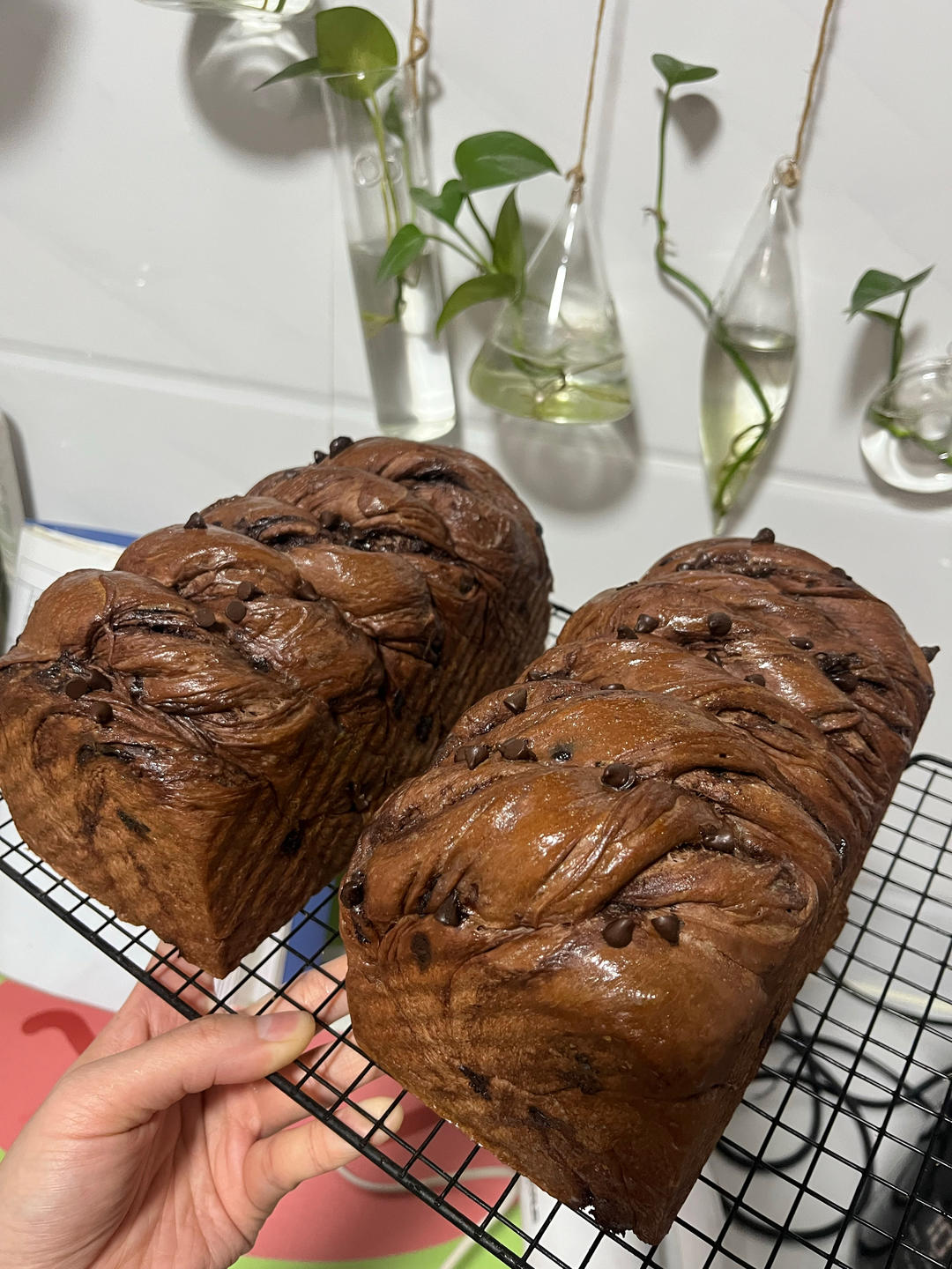 雪山巧克力吐司（巧克力奥利奥吐司面包）