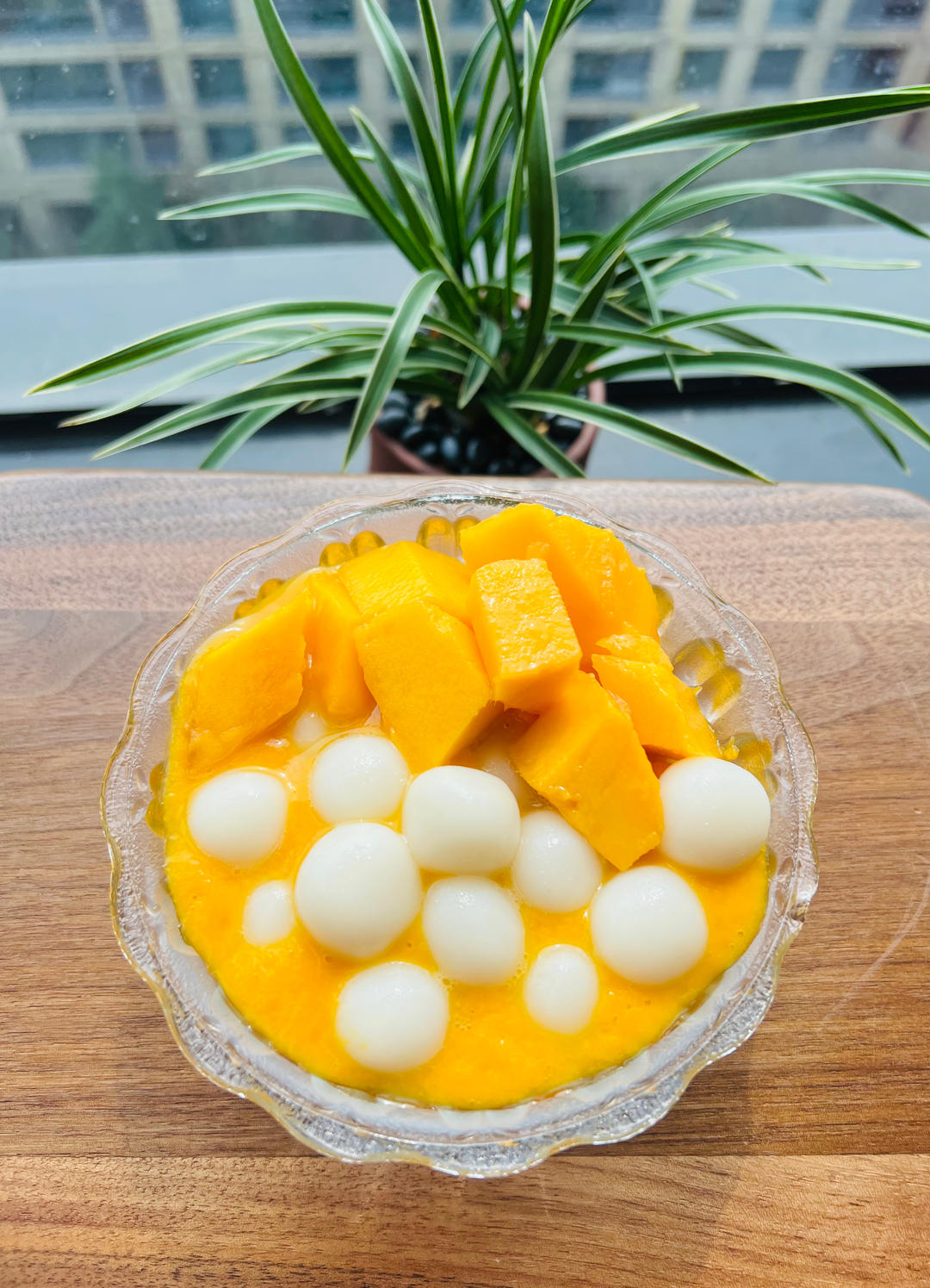 夏日必不可少的6款小甜品🍮你更喜欢哪款❓