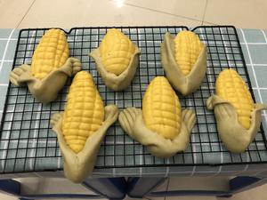 玉米棒子馒头的做法 步骤9
