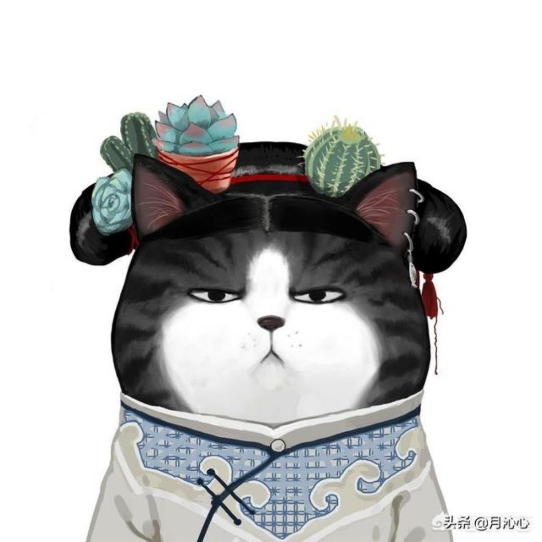 爱上厨房的大颖