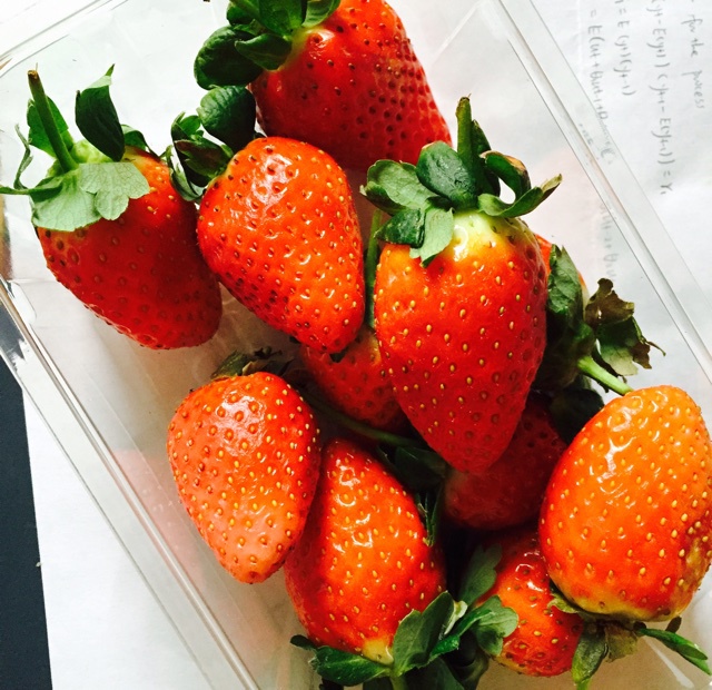 今冬第一颗草莓