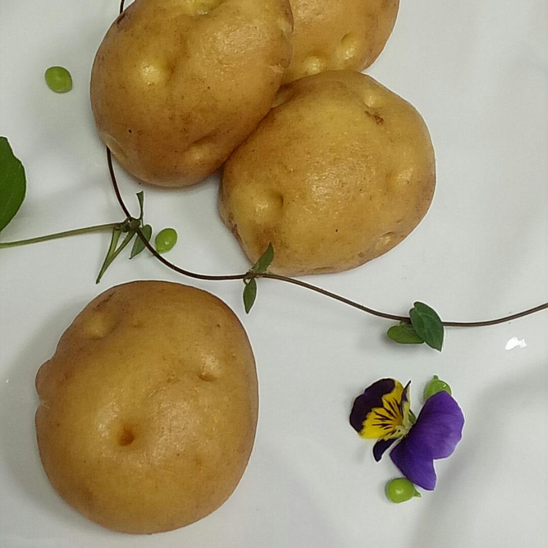 手机用户8081_0xvy