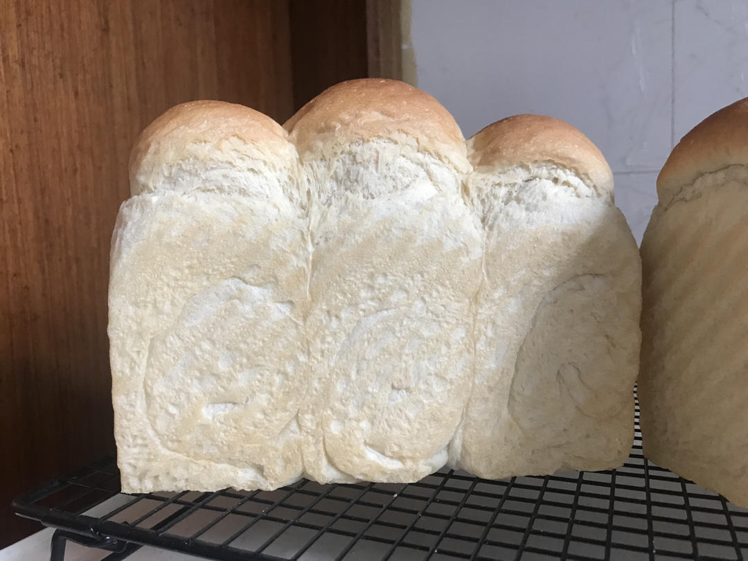 波兰种全麦吐司（40%全麦）