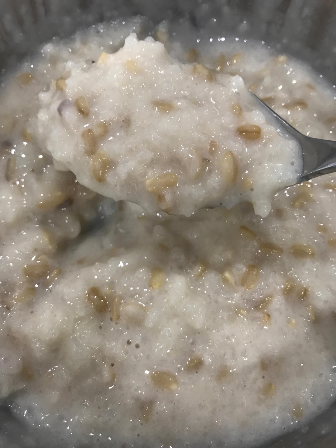 牛奶燕麦粥（浓稠）