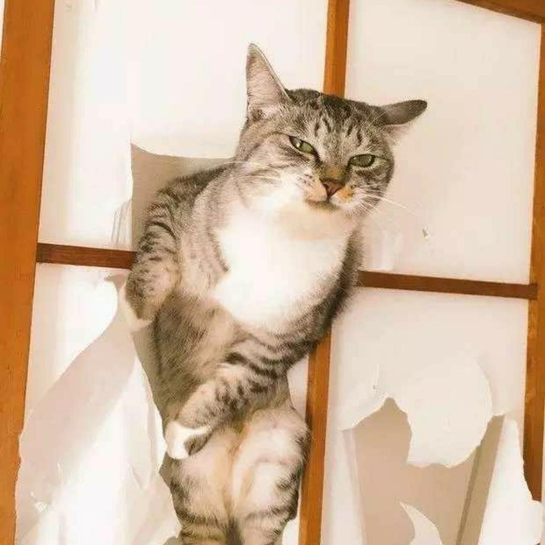 我喜欢火法的火法的火球°