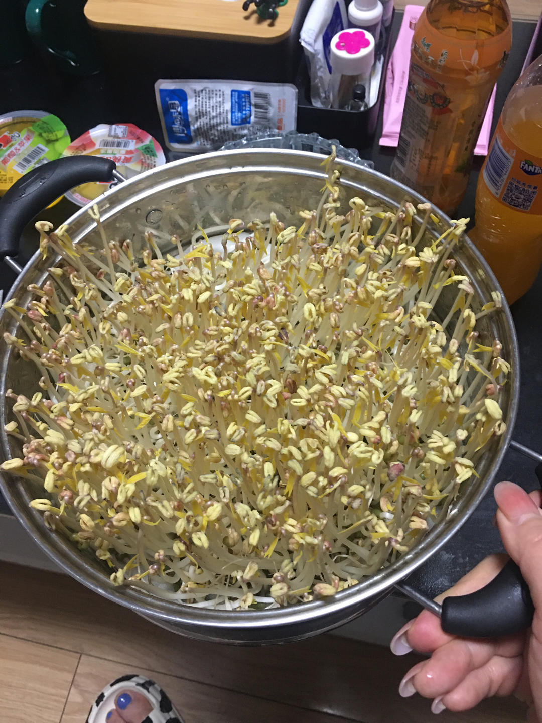 自发豆芽👉👉不用豆芽机版且附操作视频