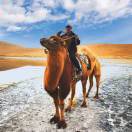 手机用户4040_0uf1