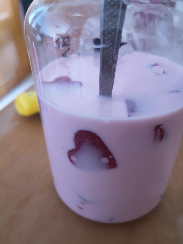 火龙果奶冻