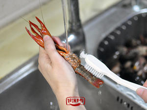 小龙虾-保留虾黄的处理方式的做法 步骤5
